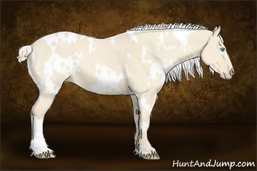 Horse Color:White Spotted Cremello Dun
