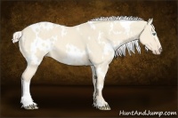 Horse Color:White Spotted Cremello Dun 