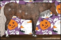 Horse Color:Silver Bay Ice Roan Sabino