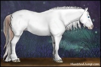 Horse Color:White Spotted Blue Onyx Roan Splash Blanket Rabicano 