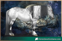 Horse Color:White Spotted Bay Chinchilla 