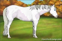 Horse Color:Watercolor Gold Champagne Ice Dun Splash Tobiano Rabicano 