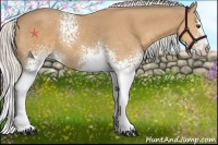 Horse Color:White Spotted Silver Buckskin Splash 