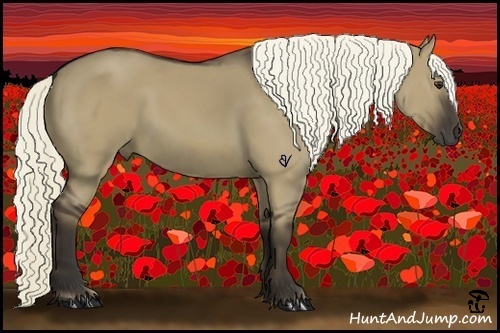 Horse Color:Liver Red Dun 