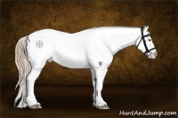 Horse Color:Liver Chestnut Pearl Sabino Frame Appaloosa 