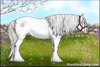 Horse Color:Chocolate Palomino Pearl Sabino Appaloosa 