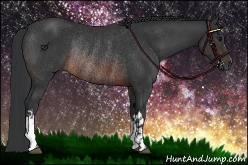 Horse Color:Brown Rabicano and Brown Rabicano