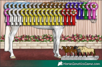 Horse Color:White Spotted Perlino Dun Splash 