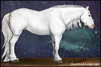 Horse Color:White Spotted Silver Black Appaloosa Rabicano 