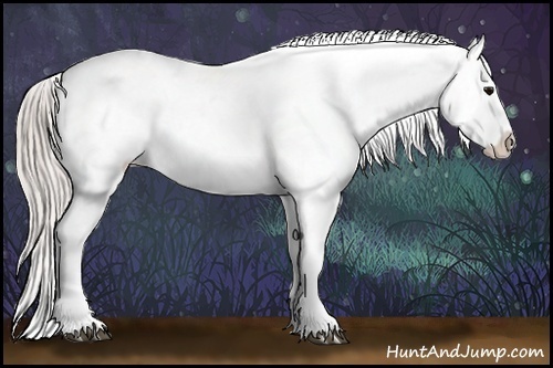 Horse Color:White Spotted Silver Black Blanket Rabicano