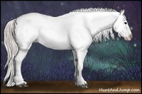 Horse Color:White Spotted Silver Black Blanket Rabicano