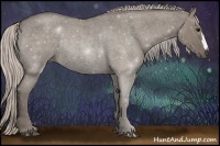 Horse Color:Silver Grullo Roan Rabicano 