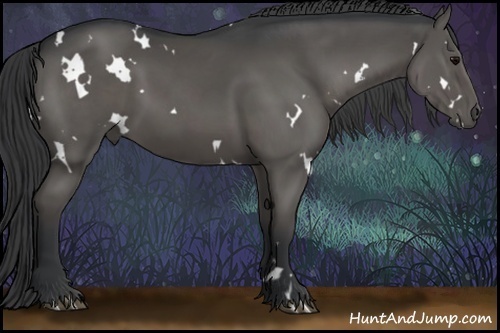 Horse Color:White Spotted Black 