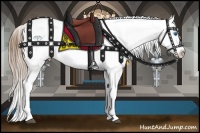 Horse Color:White Spotted Brown Pearl Onyx Splash Appaloosa