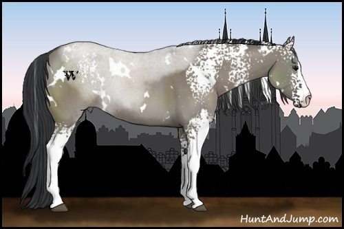 Horse Color:White Spotted Grullo