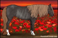 Horse Color:Liver Chestnut Rabicano 