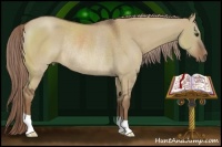 Horse Color:Liver Red Dun Rabicano 