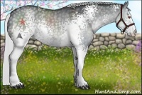 Horse Color:White Spotted Silver Black Chinchilla Rabicano 
