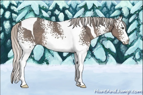Horse Color:White Spotted Silver Black Tobiano Rabicano