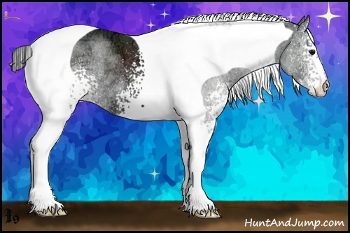 Horse Color:White Spotted Black Ice Tobiano