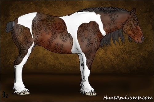 Horse Color:Bay Ice Tobiano 