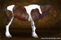 Horse Color:Bay Ice Tobiano 