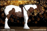 Horse Color:Bay Ice Tobiano 