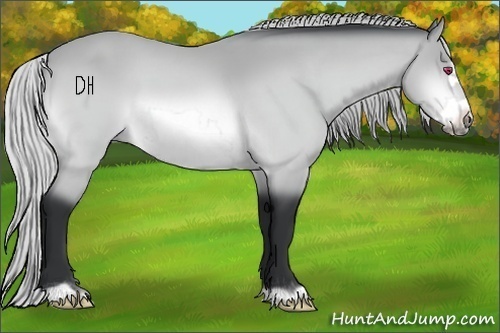 Horse Color:Silver Bay Chinchilla Frame 