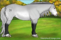 Horse Color:Silver Bay Chinchilla Frame