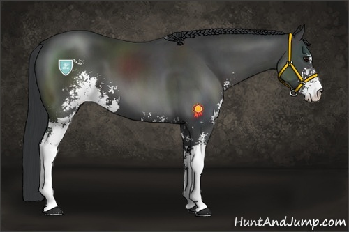 Horse Color:Black Sabino 