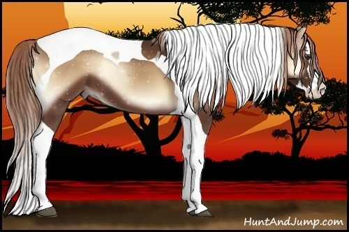 Horse Color:Red Onyx Splash Tobiano 