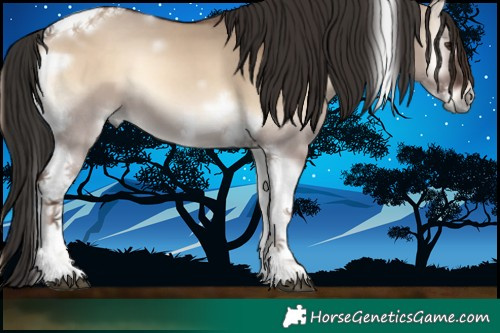 Horse Color:Liver Red Dun Onyx Tobiano Frame 