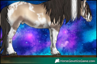 Horse Color:Liver Red Dun Onyx Tobiano Frame 