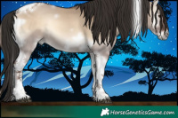 Horse Color:Liver Red Dun Onyx Tobiano Frame 