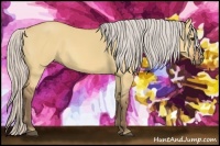 Horse Color:Silver Bay Dun 