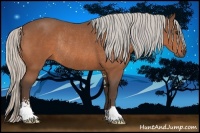 Horse Color:Silver Bay Sabino Rabicano 