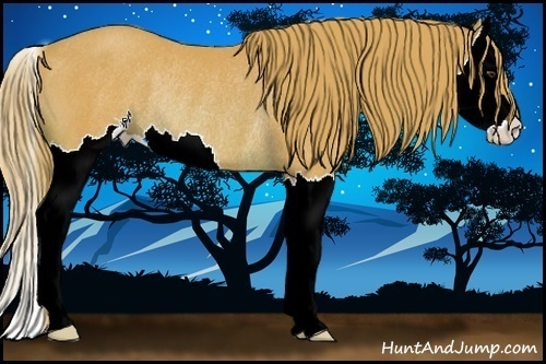 Horse Color:Watercolor Chestnut Splash Rabicano