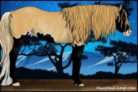 Horse Color:Watercolor Chestnut Splash Rabicano