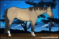 Horse Color:Brown Dun