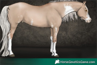 Horse Color:Silver Grullo Pearl Sabino