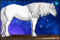 Horse Color:Gray Red Dun Sabino Tobiano Blanket Rabicano