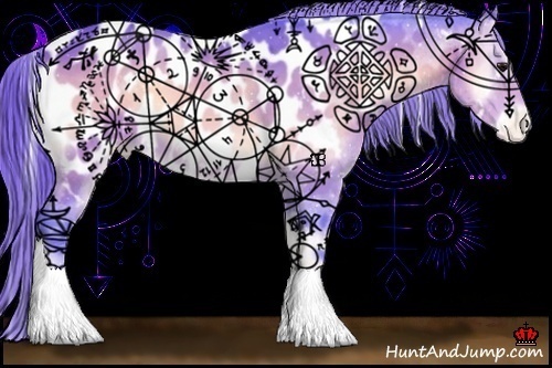 Horse Color:Watercolor White Spotted Buckskin Onyx Appaloosa 