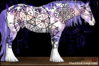 Horse Color:Watercolor White Spotted Buckskin Onyx Appaloosa 