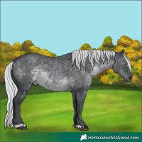 Horse Color:Silver Black Chinchilla 