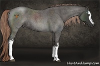 Horse Color:White Spotted Liver Red Roan 