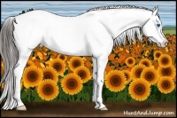 Horse Color:Black Splash Frame Snowcap