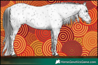Horse Color:Liver Red Roan Near Leopard 