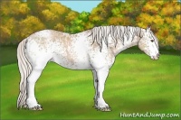 Horse Color:White Spotted Silver Black Ice Pearl 