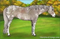 Horse Color:Silver Black Ice Sabino 