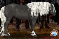 Horse Color:Liver Chestnut Sabino 